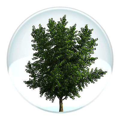 포토 JPG 해외이미지 나무 식물 디자인 컨셉 잎 채소 자연 안전 사람없음 환경 거품 투명 보호 위험 보안 유지 생태학 해외202004 해외포토 교육 생태계 파일형식 이미지허브