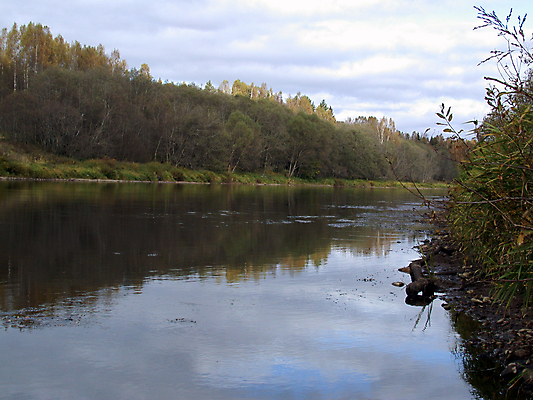 포토 JPG 해외이미지 나무 식물 여행 잎 자연 미래 이끼 사람없음 야외 물 강 평화 침묵 나뭇가지 시골 신선 개울 숲 강가 암초 내추럴 해외202004 해외포토 자연요소 컨셉 소리 생태계 파일형식 이미지허브
