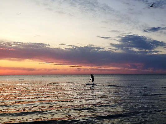 포토 JPG 해외이미지 1 남자 행복 실루엣 파도 바다 여행 포즈 백그라운드 자연 하늘 휴가 서기 사람 풍경 사람없음 야외 물 여름 파란색 태양 평화 일출 황혼 일몰 자유 보트 숭배 수평선 해외202004 해외포토 자연요소 계절 감정 컬러 컨셉 배_교통 모션 촬영기법 노을 생태계 파일형식 이미지허브