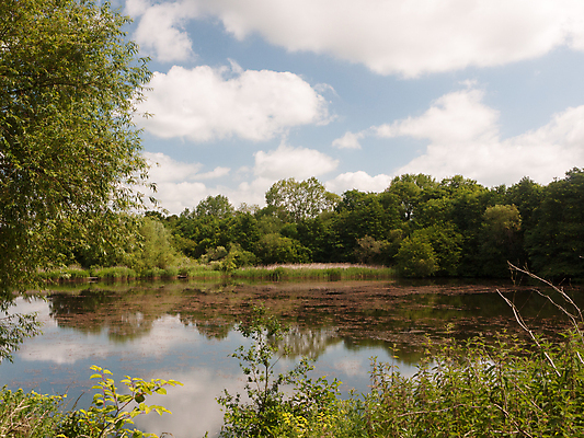 포토 JPG 해외이미지 나무 식물 계절 공원 호수 여행 자연 지팡이 하늘 파노라마 풍경 사람없음 야외 초록색 물 여름 파란색 햇빛 반사 환경 맑음 침묵 봄 거울 시골 연못 숲 내추럴 수평선 해외202004 해외포토 자연요소 공공시설 컬러 날씨 촬영기법 태양 소리 생태계 파일형식 이미지허브