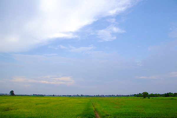 포토 JPG 해외이미지 식물 구름 계절 백그라운드 밭 자연 하늘 날씨 파노라마 풍경 잔디 사람없음 야외 초록색 여름 파란색 빛 농작물 햇빛 농장 평화 환경 봄 흰색 시골 신선 땅 천국 밭일 평야 수평선 해외202004 해외포토 자연요소 컬러 컨셉 농업 촬영기법 태양 생태계 파일형식 이미지허브