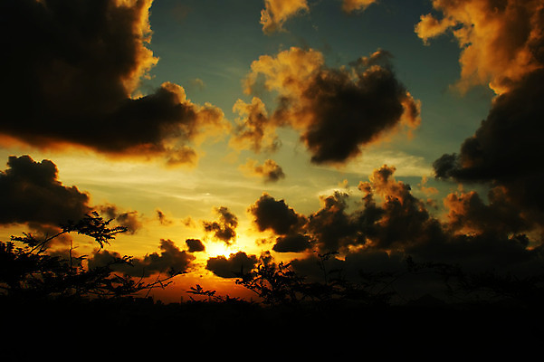 포토 JPG 해외이미지 나무 구름 하늘 사람없음 황혼 해외202004 해외포토 자연요소 식물 일몰 파일형식 이미지허브