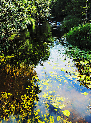 포토 JPG 해외이미지 나무 구름 호수 자연 하늘 날씨 휴식 풍경 사람없음 목재 물 여름 강 태양 여행객 침묵 시골 습지 숲 순수 즐거움 카누 변소 생태학 해외202004 해외포토 자연요소 식물 계절 교육 감정 컨셉 재료 사람 소리 수상스포츠 생태계 파일형식 이미지허브