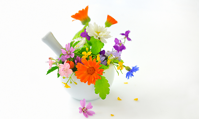 포토 JPG 해외이미지 식물 전통 파슬리 사람없음 치료 약 새싹 약초 작음 민트 허브 흰배경 금잔화 막자 방법 추출 해외202004 해외포토 꽃 백그라운드 채소 의학 흰색 풀_식물 크기 파일형식 이미지허브