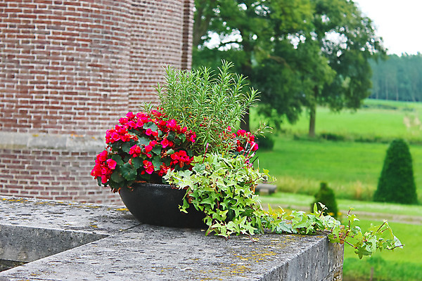 포토 JPG 해외이미지 나무 식물 디자인 외관 공원 꽃 유럽 문화 벽 여행 패턴 밭 건축양식 자연 하늘 벽돌 풍경 사람없음 야외 건물 장식 초록색 파란색 여행객 탑 정원 궁전 바위 침대 성 중세 역사 고급 보호 큼 네덜란드 과거 옛날 스타일 해외202004 해외포토 건축물 공공시설 건축 나라 컬러 가구 컨셉 고건축 무늬 농업 사람 돌_바위 크기 생태계 파일형식 이미지허브