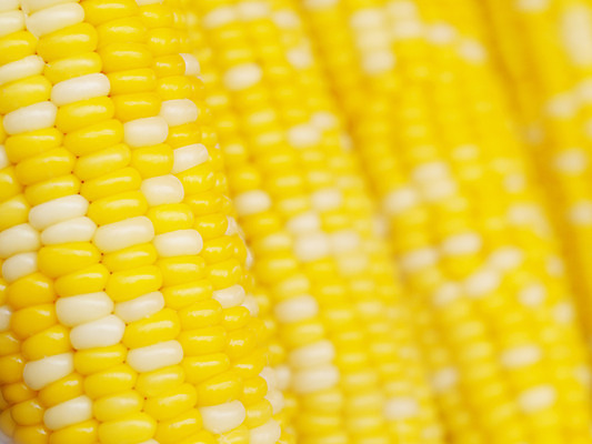 포토 JPG 해외이미지 아시아 음식 백그라운드 농업 채소 추상 옥수수 동양인 사람없음 노란색 흰색 신선 달콤 낟알 시리얼 유기농 질감 알맹이 말레이시아 내추럴 산악지대 채식주의자 해외202004 해외포토 웰빙 나라 산업 컬러 무늬 산 곡류 인종 맛 채식 파일형식 이미지허브