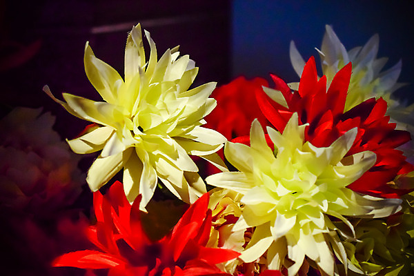 포토 JPG 해외이미지 식물 꽃잎 꽃 분홍색 꽃다발 잎 꽃무늬 자연 국화 사람없음 빨간색 초록색 컬러풀 장미 노란색 정원 꽃병 봄 벚꽃 흰색 냄비 다발 배열 고립 해외202004 해외포토 계절 컬러 무늬 솥 생태계 파일형식 이미지허브