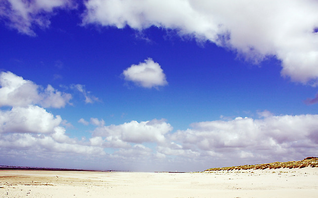 포토 JPG 해외이미지 구름 유럽 모래 바다 섬 여행 자연 하늘 바람 날씨 휴가 독일 풍경 사람없음 야외 초록색 물 여름 파란색 맑음 봄 모래언덕 네덜란드 북쪽 해외202004 해외포토 자연요소 계절 나라 컬러 방향 언덕 생태계 파일형식 이미지허브