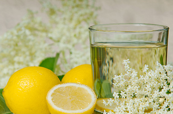 포토 JPG 해외이미지 식물 꽃잎 꽃 유럽 음식 백그라운드 잎 꽃무늬 자연 사람없음 야외 초록색 여름 노란색 정원 검은색 주스 봄 벚꽃 흰색 나뭇가지 신선 개화 허브 내추럴 깊이 해외202004 해외포토 나무 계절 나라 음료 컬러 무늬 생태계 파일형식 이미지허브