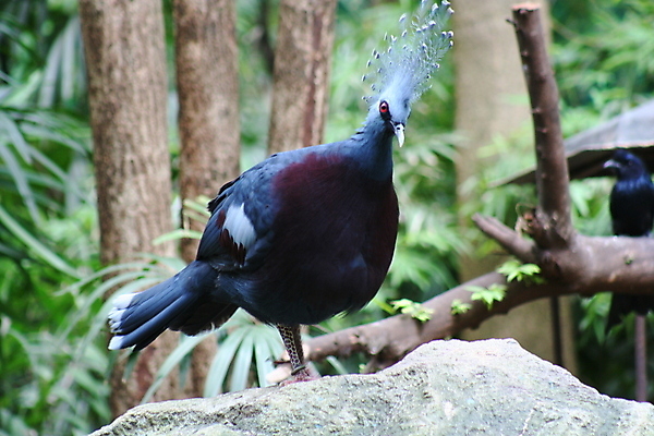 포토 JPG 해외이미지 문화 바다 섬 여행 불교 태국 하늘 휴가 코끼리 동양인 풍경 사람없음 여름 쪽지 블록 꿈 신혼여행 바위 용 도시 마사지 만 보트 스노클링 시장 황금 승려 폐허 그림 악어 천국 테라피 석호 메콩강 재규어 파라다이스 해외202004 해외포토 계절 아시아 종교 결혼 배_교통 포유류 파충류 인종 뷰티 돌_바위 수상스포츠 성직자 파일형식 이미지허브
