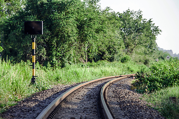 포토 JPG 해외이미지 식물 계절 산업 도로 길 줄기 여행 잎 교통시설 자연 풍경 사람없음 야외 초록색 여름 햇빛 태양 맑음 봄 광선 신선 숲 방향 시멘트 방법 선로 옛날 철강 해외202004 해외포토 자연요소 컬러 교통 날씨 시설 생태계 파일형식 이미지허브
