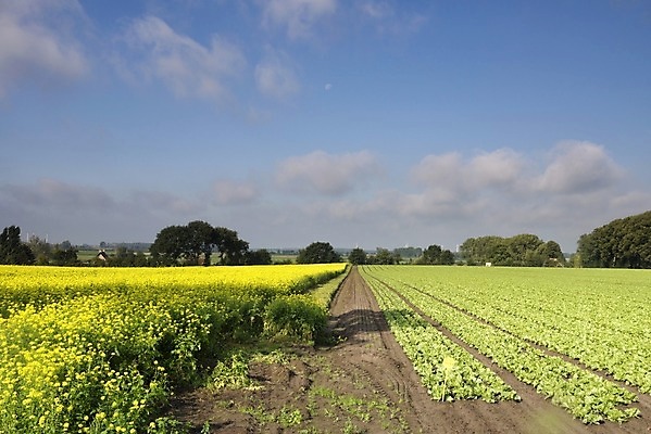 포토 JPG 해외이미지 구름 도로 길 밭 농업 자연 풍경 사람없음 농작물 모래사장 시골 밭일 수평선 해외202004 해외포토 자연요소 산업 바다 교통시설 생태계 파일형식 이미지허브