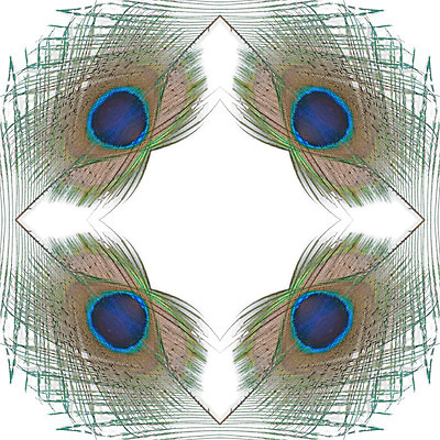 포토 JPG 해외이미지 동물 디자인 야생동물 백그라운드 패턴 자연 조류 추상 사람없음 초록색 파란색 컬러풀 흰색 우아함 공작 깃털 질감 꼬리 솜털 고립 이국적 해외202004 해외포토 컬러 컨셉 무늬 생태계 파일형식 이미지허브