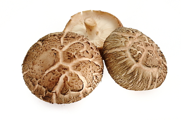 포토 JPG 해외이미지 식물 음식 다이어트 채소 건강 동양인 사람없음 일본 식사 중국 흰색 신선 오브젝트 유기농 날것 내추럴 고립 곰팡이 생식 채식주의자 비건 해외202004 해외포토 웰빙 아시아 컬러 인종 채식 파일형식 이미지허브