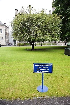 포토 JPG 해외이미지 나무 식물 영어 공원 유럽 텍스트 거리 경고 잔디 사람없음 초록색 파란색 정원 금지 도시 사인 신호 봉 아일랜드 더블린 조언 해외202004 해외포토 문자 공공시설 나라 컬러 파일형식 이미지허브