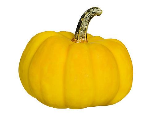 포토 JPG 해외이미지 모양 식물 1 계절 음식 줄기 백그라운드 농업 채소 오렌지 과일 자연 호박 휴가 사람없음 장식 노란색 우주 축제 활발 미니어처 할로윈 수확 가을 흰색 신선 작음 오브젝트 싱글 유기농 날것 추수감사절 스쿼시 10월 고립 미니 숙성 채식주의자 해외202004 해외포토 웰빙 산업 기독교 스포츠 컬러 컨셉 구기 모형 날짜 크기 생태계 채식 파일형식 이미지허브