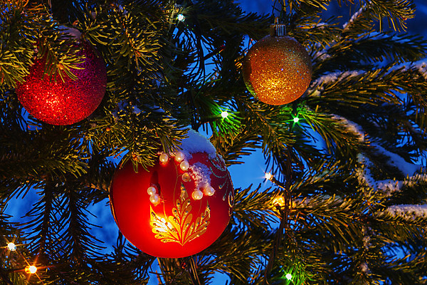 포토 JPG 해외이미지 나무 계절 백그라운드 크리스마스 공 유리 휴가 새해 사람없음 장식 빨간색 장난감 크리스마스트리 축하 화려 구슬 오브젝트 여의주 해외202004 해외포토 식물 기념일 컬러 컨셉 재질 파일형식 이미지허브