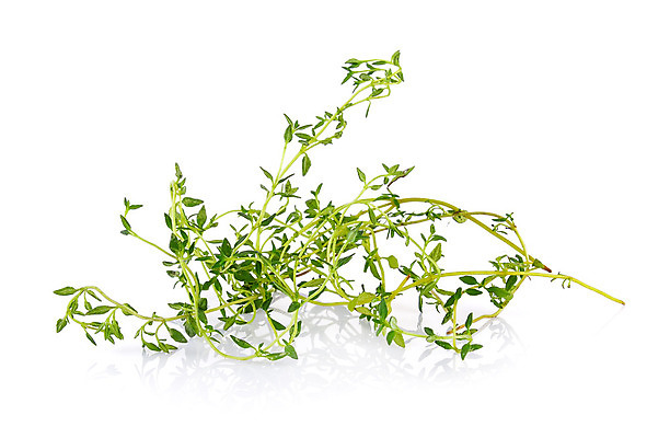 포토 JPG 해외이미지 식물 음식 백그라운드 잎 채소 재료 자연 건강 사람없음 초록색 약 정원 흰색 신선 양념 다발 레몬 허브 향신료 고립 백리향 오레가노 해외202004 해외포토 컬러 과일 의학 생태계 향미료 파일형식 이미지허브
