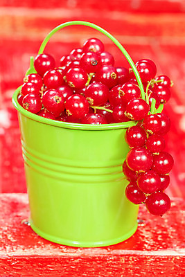 포토 JPG 해외이미지 계절 줄기 농업 다이어트 과일 자연 디저트 요리 사람없음 빨간색 초록색 컬러풀 주스 수확 신선 원형 달콤 아침식사 인스턴트 매끈함 작음 다발 양동이 유기농 날것 베리 흙더미 건강식 건포도 고립 비타민C 숙성 신맛 정물화 채식주의자 카피스페이스 해외202004 해외포토 도형 식물 웰빙 산업 음료 음식 컬러 포도 건강 식사 흙 공백 감각 맛 크기 그림 생태계 채식 비타민 건과일 파일형식 더미 이미지허브