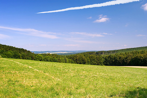 포토 JPG 해외이미지 나무 식물 구름 계절 백그라운드 컨셉 밭 농업 자국 자연 하늘 비행기 풍경 잔디 사람없음 야외 가로 초록색 여름 파란색 햇빛 환경 침묵 줄무늬 자유 흰색 물방울 시골 땅 밀 조경 장면 지역 넘어짐 수평선 해외202004 해외포토 자연요소 산업 컬러 무늬 항공교통 모션 대중교통 곡류 태양 소리 생태계 파일형식 이미지허브