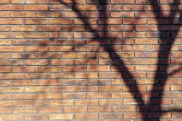 포토 JPG 해외이미지 디자인 외관 벽 백그라운드 패턴 건축양식 벽지 표면 날씨 추상 벽돌 바닥 사람없음 내부 건물 가로 빨간색 갈색 검은색 페인트 블록 방 수확 골동품 흰색 도시 거친 질감 복고 시멘트 고체 구식 그런지 석고 옛날 콘크리트 회복 해외202004 해외포토 건축물 건축 컬러 컨셉 무늬 농업 파일형식 이미지허브