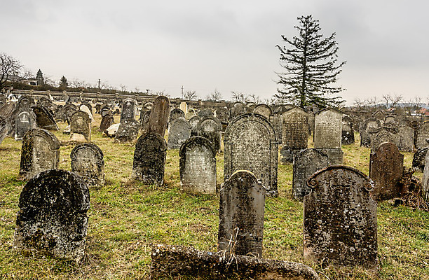 포토 JPG 해외이미지 꽃 기독교 종교 지구 백그라운드 십자가 부활절 사람없음 목재 조각상 검은색 성경 바위 기도 죽음 예수 영혼 목사 심볼 애도 신성 땅파기 신앙심 옛날 장례식 오싹 해외202004 해외포토 나무 식물 기념일 컬러 재료 종교용품 조형물 신_종교 성직자 파일형식 이미지허브