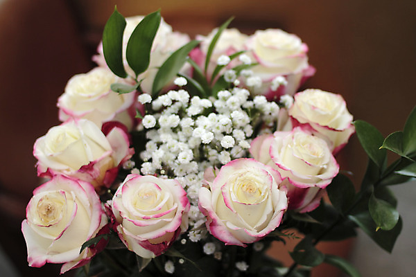 포토 JPG 해외이미지 식물 꽃잎 꽃 분홍색 꽃다발 백그라운드 잎 꽃무늬 사람없음 빨간색 초록색 장미 갈색 줄무늬 회색 벚꽃 흰색 황금 가장자리 작음 다발 배열 해외202004 해외포토 컬러 무늬 둘레 크기 파일형식 이미지허브