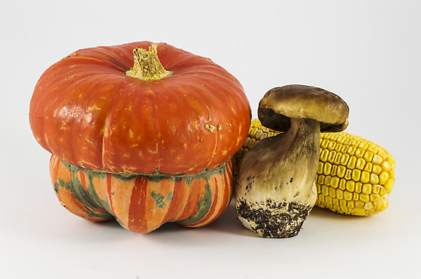 포토 JPG 해외이미지 계절 음식 백그라운드 밭 농업 채소 오렌지 과일 자연 호박 휴가 건강 옥수수 사람없음 장식 빨간색 컬러풀 갈색 노란색 정원 버섯 수확 가을 흰색 신선 먹기 유기농 고립 그런지 해외202004 해외포토 웰빙 산업 컬러 모션 곡류 생태계 파일형식 이미지허브