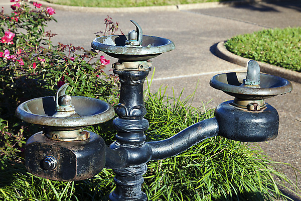 포토 JPG 해외이미지 공원 음료 사람없음 물 장미 기계 역사 분수 대야 로스앤젤레스 옛날 해외202004 해외포토 자연요소 공공시설 꽃 미국 파일형식 이미지허브