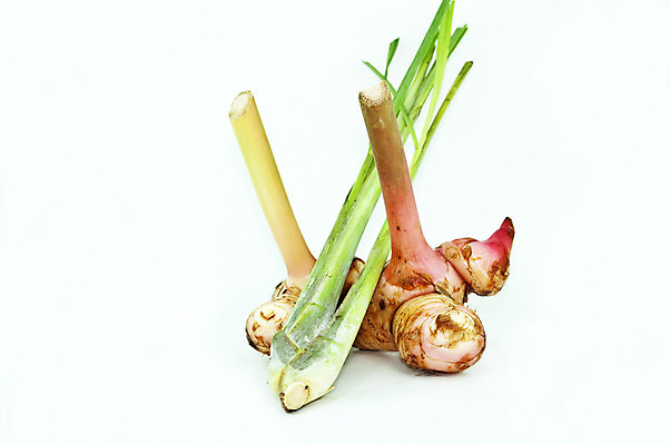 포토 JPG 해외이미지 식물 문화 음식 백그라운드 농업 채소 재료 태국 건강 요리 사람없음 초록색 수확 신선 뜨거움 양념 맛 자르기 다발 묶기 먹기 레몬 허브 가득함 향신료 보따리 매움 날것 향기 아로마 뿌리 슛 향 길이 내추럴 숙성 해외202004 해외포토 산업 아시아 컬러 컨셉 과일 모션 냄새 향미료 파일형식 이미지허브