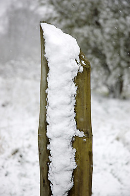 포토 JPG 해외이미지 겨울 밭 자연 사람없음 옆모습 울타리 냉동 얼음 추위 봉 해외202004 해외포토 자연요소 계절 뷰포인트 농업 담장 생태계 파일형식 이미지허브
