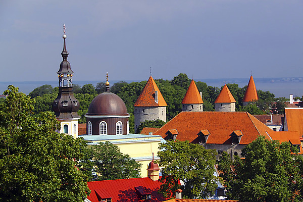 포토 JPG 해외이미지 나무 외관 유럽 벽 여행 건축양식 지붕 벽돌 주택 사람없음 건물 가로 빨간색 초록색 도시풍경 탑 바위 도시 중세 역사 타일 장면 북쪽 타운 스카이라인 석회암 에스토니아 옛날 해외202004 해외포토 식물 건축물 건축 나라 컬러 풍경 암석 돌_바위 방향 파일형식 이미지허브