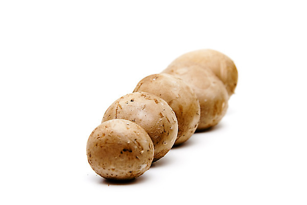 포토 JPG 해외이미지 음식 채소 사람없음 갈색 식사 버섯 수확 껍질 신선 맛 먹기 피부 흰배경 날것 해외202004 해외포토 컬러 백그라운드 컨셉 농업 모션 신체부위 흰색 파일형식 이미지허브