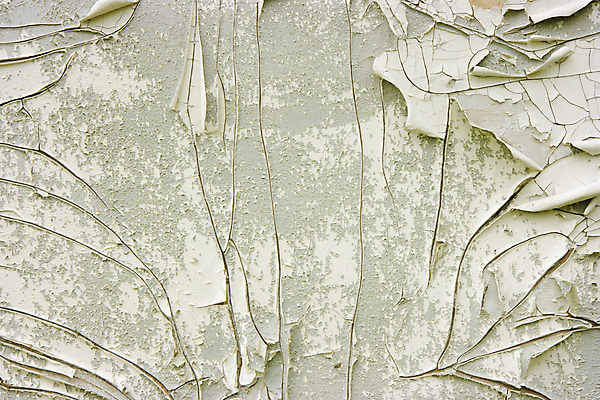 포토 JPG 해외이미지 디자인 벽 백그라운드 패턴 표면 날씨 추상 미술 사람없음 일상 어둠 페인트 손상 회색 수확 껍질 흰색 얼룩 거친 균열 버리기 부식 질감 복고 정사각형 먼지 곰팡이 그런지 석고 옛날 콘크리트 노화 해외202004 해외포토 도형 컬러 컨셉 무늬 농업 모션 문화예술 라이프 파일형식 이미지허브