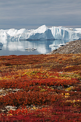 포토 JPG 해외이미지 자연 하늘 풍경 사람없음 빨간색 반사 갈색 노란색 얼음 가을 흰색 재산 빙하 그린란드 수평선 해외202004 해외포토 자연요소 계절 컬러 섬 덴마크 금융 생태계 파일형식 이미지허브