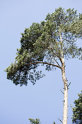 포토 JPG 해외이미지 나무 식물 구름 모래 파도 바다 섬 여행 잎 자연 하늘 휴가 휴식 손바닥 풍경 사람없음 야외 초록색 물 여름 파란색 햇빛 태양 맑음 침묵 흰색 만 뜨거움 휴양지 코코넛 대서양 석호 파라다이스 해외202004 해외포토 자연요소 손 계절 컬러 컨셉 과일 날씨 소리 장소 생태계 파일형식 이미지허브