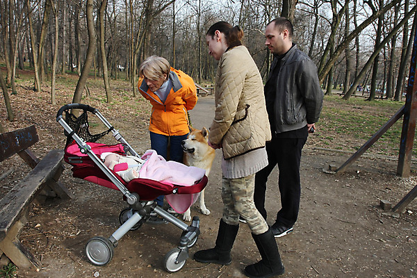 포토 JPG 해외이미지 백인 공원 여자 행복 할머니 어린이 겨울 가족 자연 엄마 함께함 건강 사랑 사람 여러명 야외 아기 아빠 개 숲 해외202004 해외포토 서양인 계절 공공시설 노년 감정 다수 컨셉 포유류 관계 생태계 파일형식 이미지허브