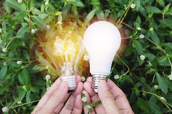 포토 JPG 해외이미지 여자 백그라운드 컨셉 크리스마스 비즈니스 전구 손가락 유리 성공 추상 아이디어 매달리기 관리 손바닥 사람 성인 사람없음 내부 장식 초록색 빛 에너지 엄지손가락 수확 골동품 축하 인사 잡기 사인 뇌 보케 팔 해외202004 해외포토 손 기념일 컬러 무늬 농업 모션 재질 신체부위 예절 파일형식 이미지허브