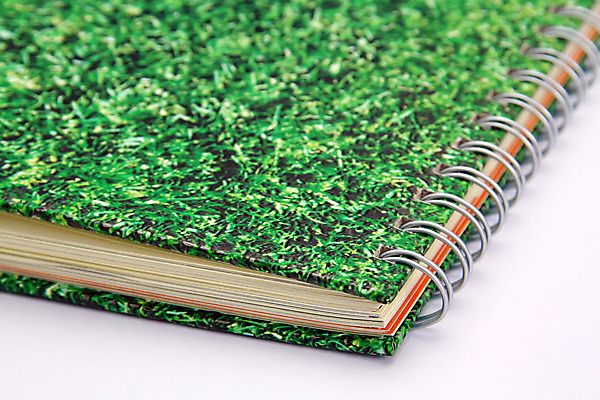 포토 JPG 해외이미지 학생 교육 종이 비즈니스 졸업 텍스트 학교 수업 미래 새로움 아이디어 사람없음 책 스터디 사무실 쌓기 성경 과학기술 덮개 흰색 오픈 그룹 변화 큼 강의 읽기 뇌 교과서 대학교 법 페이지 사전 서점 고립 옛날 지능 해외202004 해외포토 컬러 컨셉 종교용품 모션 교재 기술 학습 상점 뚜껑 크기 파일형식 이미지허브