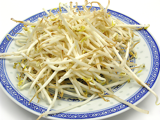 포토 JPG 해외이미지 접시 음식 백그라운드 채소 콩 동양인 사람없음 새싹 날것 생식 채식주의자 비건 해외202004 해외포토 식물 식기 곡류 인종 채식 파일형식 이미지허브