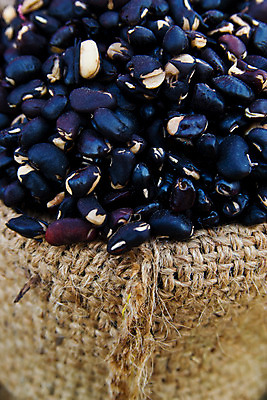 포토 JPG 해외이미지 음식 농업 과일 포장 옥수수 씨앗 사람없음 중국 견과류 시리얼 메밀 기아 보리 땅콩 오트밀 작살 해외202004 해외포토 식물 산업 아시아 식재료 곡류 사회이슈 파일형식 귀리 이미지허브