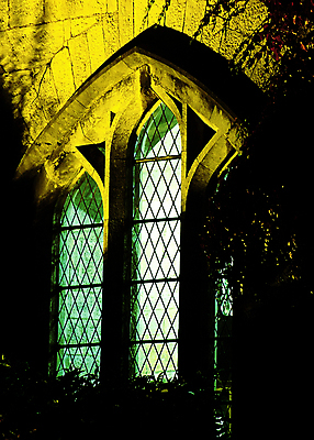 포토 JPG 해외이미지 창문 전등 석조 사람없음 야간 저녁 코르크 아이비 아일랜드 고딕 해외202004 해외포토 자연요소 식물 유럽 조명 파일형식 이미지허브