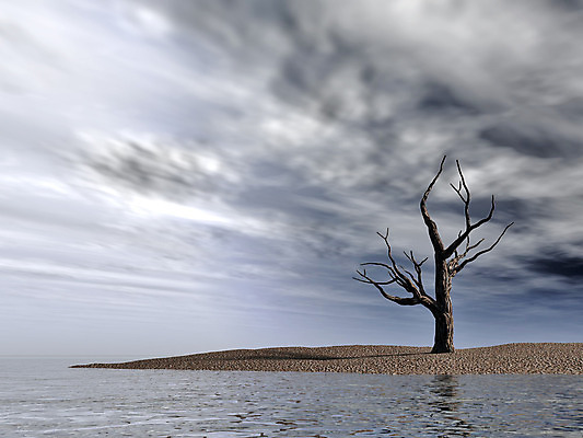 포토 JPG 해외이미지 나무 식물 구름 실루엣 호수 파도 바다 섬 백그라운드 신체 자연 하늘 휴가 그림자 풍경 사람없음 야외 물 파란색 빛 강 반사 검은색 어둠 침묵 젖음 가을 나뭇가지 죽음 거친 가장자리 고독 버리기 장면 폭풍 멀리 흐림 벌거벗은 수평선 해외202004 해외포토 자연요소 계절 감정 컬러 모션 날씨 촬영기법 소리 둘레 생태계 파일형식 이미지허브