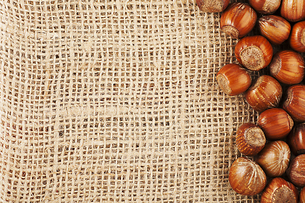 포토 JPG 해외이미지 실내 사람없음 견과류 삼베 헤이즐넛 카피스페이스 해외202004 해외포토 내부 공백 파일형식 천_직물 이미지허브