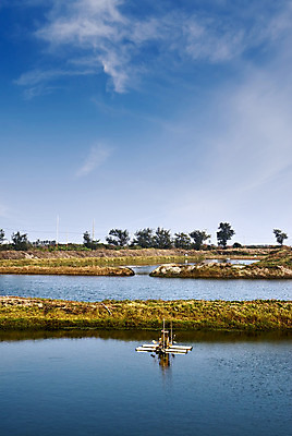 포토 JPG 해외이미지 나무 구름 호수 밭 농업 자연 하늘 주택 어류 풍경 사람없음 야외 건물 세로 물 파란색 빛 농장 농경지 노란색 평화 마을 환경 화목 고요 시골 연못 신선 바퀴 타운 내추럴 밭일 웅장함 해외202004 해외포토 자연요소 식물 건축물 산업 컬러 컨셉 수중동물 도시 생태계 파일형식 이미지허브