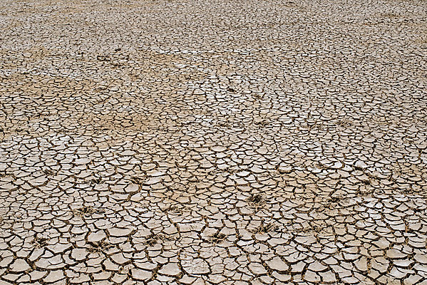 포토 JPG 해외이미지 나무 계절 지구 모래 백그라운드 패턴 자연 표면 추상 건조 사람없음 야외 여름 글로벌 갈색 환경 흙 회색 사막 죽음 뜨거움 거친 균열 땅 묘사 질감 먼지 점토 지역 진흙 가뭄 안심 다리찢기 내추럴 깨짐 땅바닥 재앙 지질학 해외202004 해외포토 식물 교육 컬러 컨셉 무늬 모션 날씨 바닥 육류 생태계 파일형식 이미지허브
