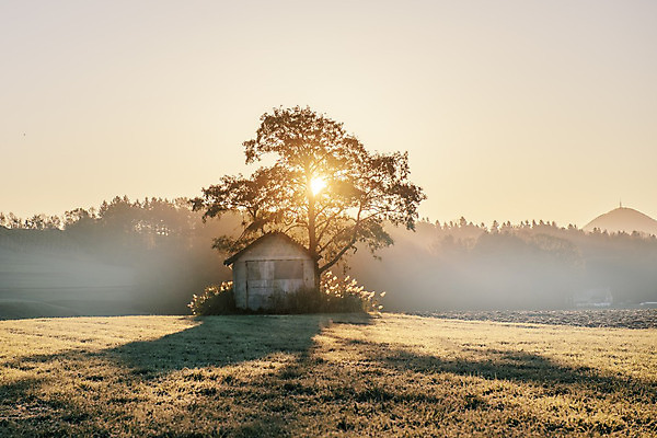포토 JPG 해외이미지 나무 구름 상징 백그라운드 밭 농업 자연 하늘 아침 지붕 휴가 풍경 사람없음 야외 건물 목재 여름 파란색 농장 일출 목장 안개 시골 구멍 오두막 만취 버리기 헛간 외양간 옛날 판잣집 해외202004 해외포토 주간 자연요소 식물 건축물 계절 산업 컬러 재료 모션 날씨 주택 노을 생태계 저장고 술취함 파일형식 이미지허브