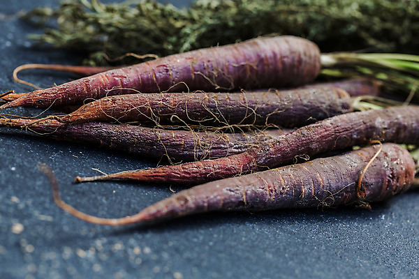 포토 JPG 해외이미지 전통 라이프스타일 음식 채소 자연 주택 건강 사람없음 보라색 흙 당근 수확 다발 유기농 성분 밭일 옛날 정물화 특별함 홈메이드 해외202004 해외포토 웰빙 컬러 컨셉 농업 뿌리채소 건물 생활 그림 생태계 만들기 파일형식 이미지허브