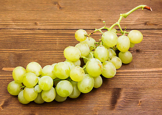 포토 JPG 해외이미지 식물 계절 열매 음식 백그라운드 잎 농업 다이어트 과일 재료 자연 탁자 포도 디저트 건강 사람없음 목재 장식 초록색 와인 주스 수확 가을 흰색 나뭇가지 신선 그룹 달콤 맛 다발 먹기 유기농 날것 포도나무 내추럴 숙성 양조장 해외202004 해외포토 나무 웰빙 산업 음료 컬러 가구 컨셉 모션 주류 과일나무 생태계 파일형식 이미지허브