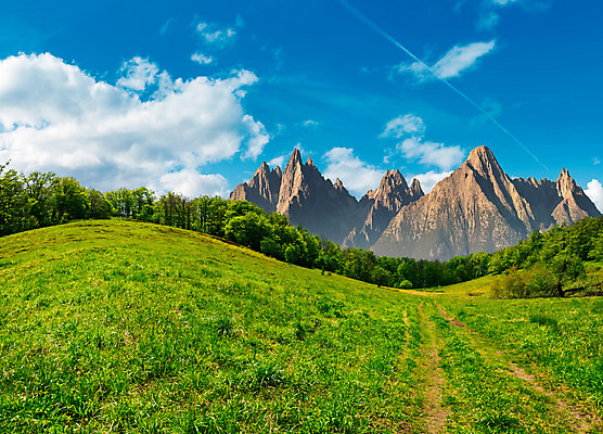 포토 JPG 해외이미지 나무 길 자연 하늘 날씨 산 따뜻함 풍경 경사 사람없음 야외 여름 환경 놀람 시골 숲 땅 언덕 산등성이 합성 슬로바키아 절정 해외202004 해외포토 식물 계절 감정 유럽 표정 생태계 파일형식 이미지허브